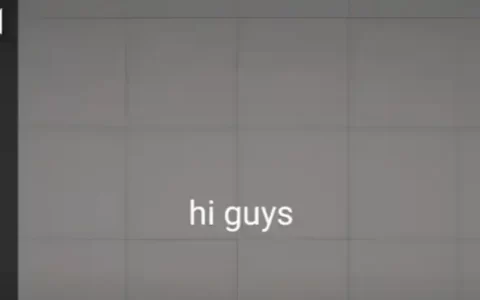 Gun