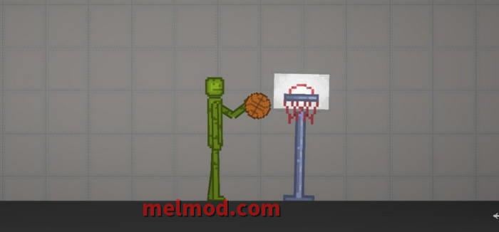 Basketball and hoop