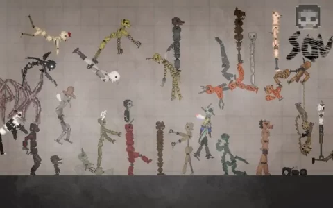 Contains 30 animatronics pack