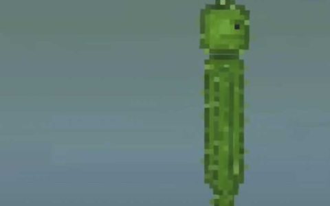 CRAZY CUCUMBER