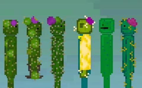 Cactus