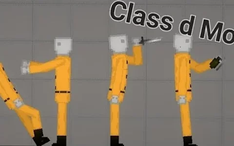 Class d