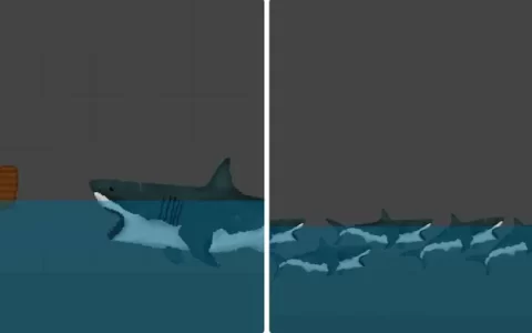 Jaws/Shark