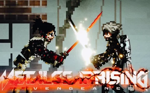 Metal Gear Rising: Revengeance