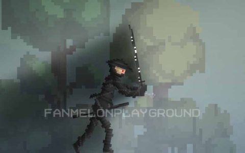 Ninja