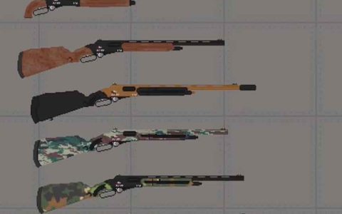 Weapon Shotgun