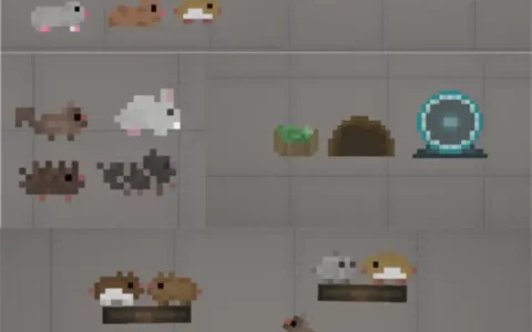 Small Animals