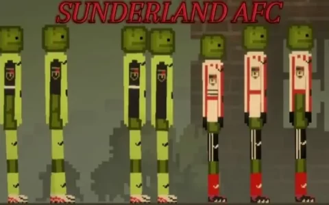 Sunderland AFC