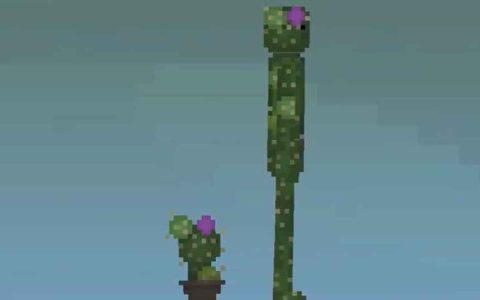 cactus