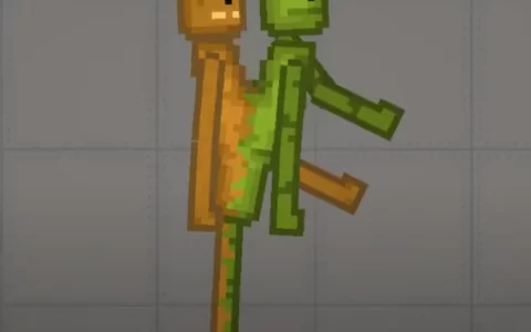 conjoined melon