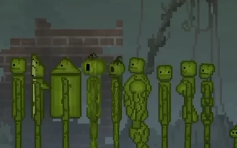feature skins