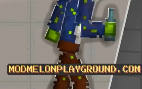 Homeless Skin For Melon Sandbox (Playground)