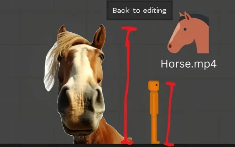 horse