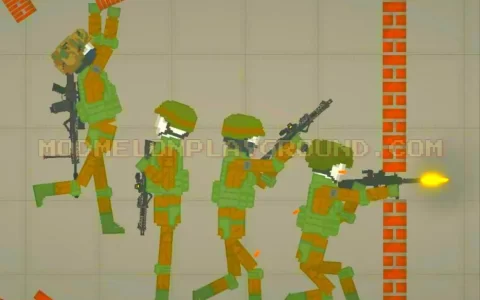Military Soldiers