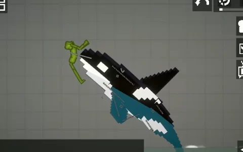 orca