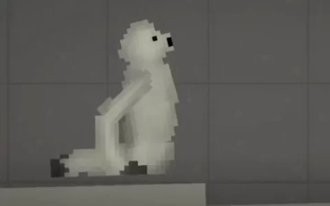 seal