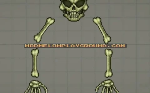 Skeletron Terraria