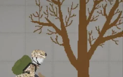 Soldier Skin Mod