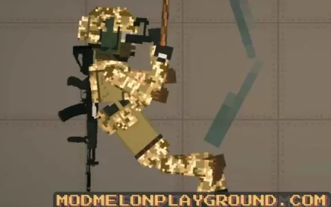 Special Soldier Skin