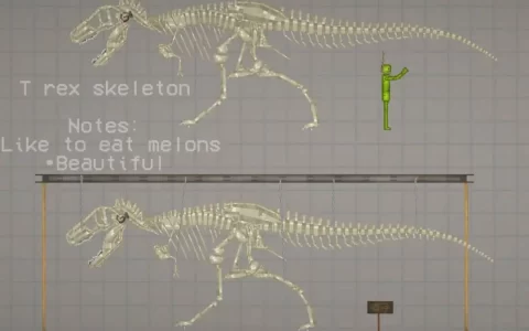 T-rex Skeleton