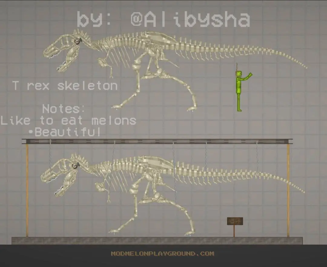 T-rex Skeleton