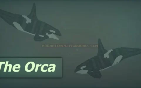 Orca