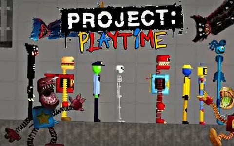 project Playtime